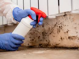 Reliable Southaven, MS Mold Removal Services Solutions